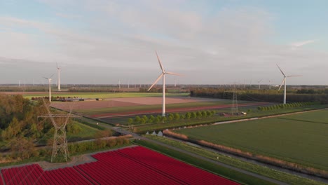 Turbinas-Eólicas-Que-Generan-Energía-En-Los-Campos-Con-Hermosos-Tulipanes-Rojos-En-Flevoland,-Países-Bajos