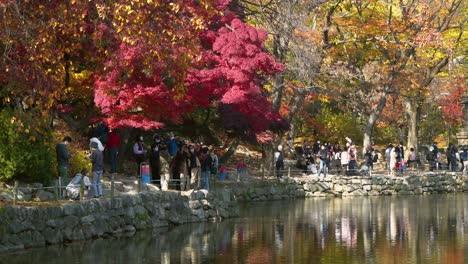 Crowds-of-Korean-people-in-masks-walk-by-stone-pagoda-of-Chundangji-pond-in-Autumn,-Changgyeonggung-Palace,-Seoul-South-Korea