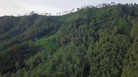 Luftdrohnenansicht-Von-Hügel-Und-Wald-Im-Tropischen-Land-Indonesien