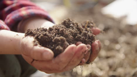 CLOSEUP-REVEAL---A-child-lifts-a-handful-of-compost-into-frame-and-inspects-it