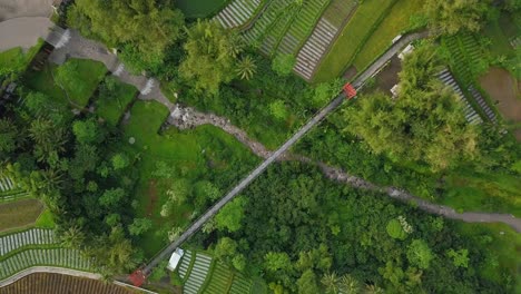 Vertical-drone-shot-of-river-with-waterfall-metal-with-suspension-bridge-on-it,-surrounded-by-trees-and-plantation,-motorcycle-croosing-on-it