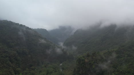 Asombrosa-Jungla-De-Puebla-Durante-Un-Día-De-Niebla