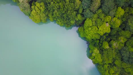 Drone-ascending-revealing-banks-of-tropical-lake-surrounded-by-tropical-rainforest-in-Sao-Miguel-island,-Azores