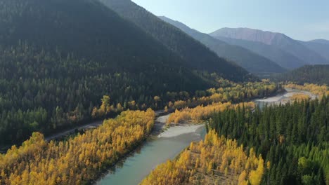 Flyover-Yellow-And-Green-Trees-Lined-Up-By-The-River-And-Mountainside-in-montana---aerial-shot