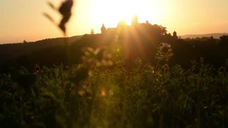 Magnificent-sunset-over-Braunfels-castle-in-Hesse,-Germany-with-wildflowers-in-the-foreground
