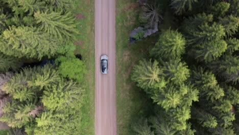 Antena-De-Arriba-Hacia-Abajo---Un-Modelo-3-De-Tesla-Conduce-Por-Un-Camino-De-Tierra-En-Un-Bosque