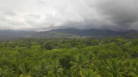 Drone-shot-of-palm-trees-and-green-Costa-Rican-environment