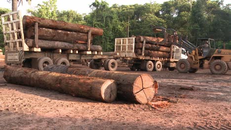 Stacking-logs-with-a-tractor-loader-on-a-truck---deforestation-of-the-Amazon-rainforest