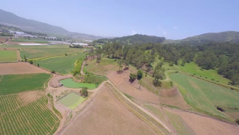 Green-Fields-And-Lush-Vegetation-In-Constanza,-Dominican-Republic---aerial-FPV