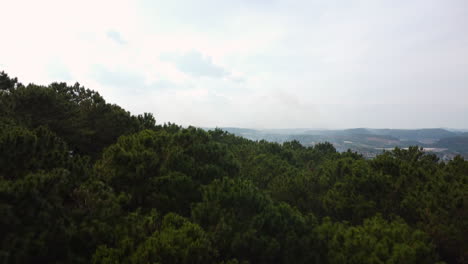 Aerial-forward-view-orbit-ascending-of-smoke-coming-from-the-forest