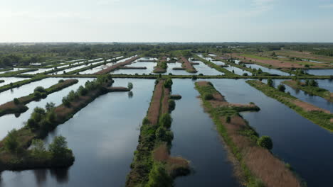 Scenery-Of-Endless-Wetlands-In-Weerribben-Wieden-National-Park,-Ossenzijl,-Friesland,-Netherlands