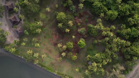 Drohne-Blickt-Nach-Unten-Und-Fliegt-über-Das-Double-Tree-Resort-In-Fidschi