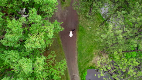 HD-Aerial-Drone-Shot-Of-Bride-And-Groom-Walking-Down-Path-Holding-Hands-Surrounded-By-Alpine-Forest-Tree-Landscape-During-Summer-Day