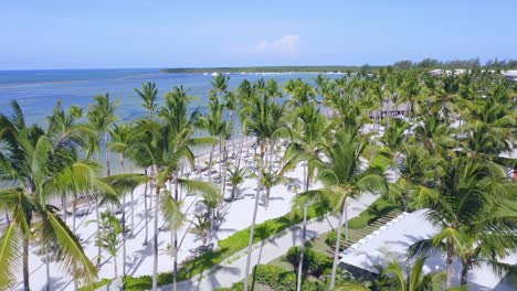 Flight-over-perfect-white-sand-beach-with-palms-in-Caribbean,-Playa-Bavaro