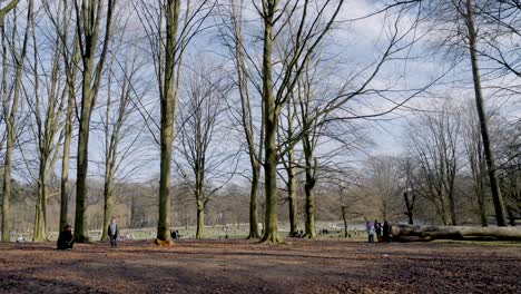 Gente-Paseando-Por-El-Famoso-Bois-De-La-Cambre-En-Ixelles,-Bruselas-Con-árboles-Sin-Hojas-Durante-El-Invierno