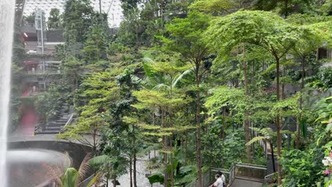 Green-vegetation-and-teh-vortex,-The-Jewel-at-Changi-Airport