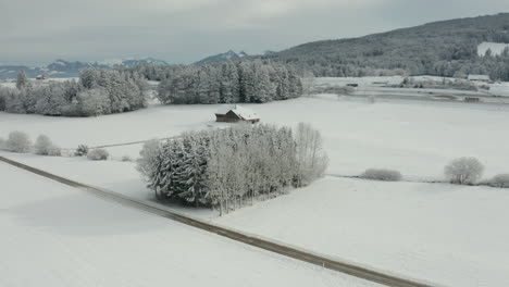 Aerial-of-group-of-snow-covered-trees-with-a-small-cabin-in-beautiful-winter-landscape