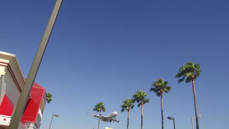 Avión-Aterrizando-En-El-Aeropuerto-Local