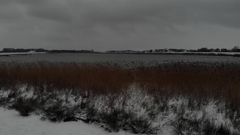 Cloudscape-Over-Calm-Lake-With-Swaying-Grass-Reeds-During-Winter