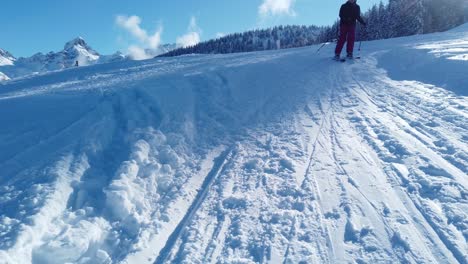 Menschen-Fahren-Tagsüber-Auf-Schneebedeckten-Feldern-Mit-Pinien-Und-Blauem-Himmel-Ski