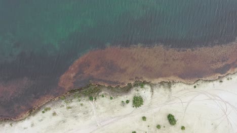 Strand-Aus-Weißem-Sand-Von-Oben,-Aufgenommen-Von-Einer-Drohne-In-4k