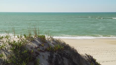 Dünen-Und-Küstenerosion,-Verzögert-Durch-Einige-Pflanzen,-Im-Hintergrund-Sanft-Die-Wellen-Am-Strand