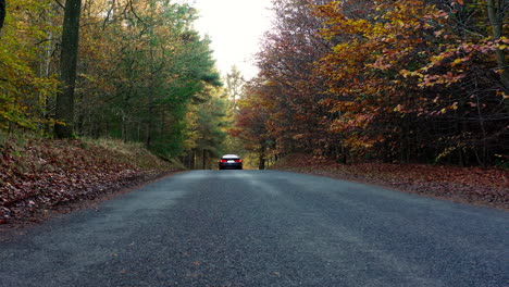 Bmw-Conducir-En-El-Campo