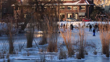 Reed-in-frozen-over-urban-canal-with-people-ice-skating-and-youngsters-standing-around-enjoying-the-sunset-light-on-the-winter-white-snow-in-cold-cozy-landscape