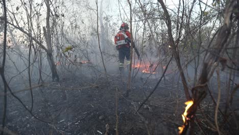 Usando-Un-Soplador-De-Gas-Para-Controlar-Un-Incendio-Forestal-En-La-Sabana-Brasileña