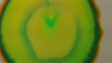 Within-the-exotic-fruit-strange-things-happen---For-more,-search-"AbstractVideoClip"-using-the-quotation-marks