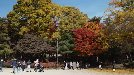 Changgyeonggung-Palace-Park---Groups-of-People-in-protective-face-masks-sightseeing-autumn-foliage,-Seoul