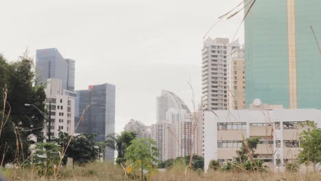 A-distant-shot-of-the-ultra-modern-buildings-of-Panama-City-from-behind-an-overgrown-vacant-plot-of-prime-urban-real-estate-land,-Panama-City