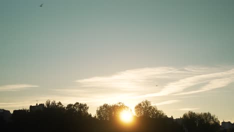 Establishing-shot-of-Paris-skyline-with-seagulls-and-birds-flying,-sunrise-scene