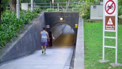 Menschen,-Die-Am-Empress-Place-In-Richtung-Eines-Fußgängertunnels-In-Der-Innenstadt-Von-Singapur-Gehen