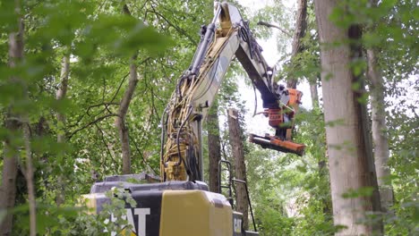 Modernes-Baumfällfahrzeug-Mit-Großer-Reichweite,-Das-Alte-Bäume-Im-Wald-Fällt