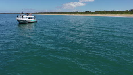 Gäste-Springen-Vom-Charterboot,-Während-Taucher-In-Der-Nähe-Ihre-Pläne-Besprechen