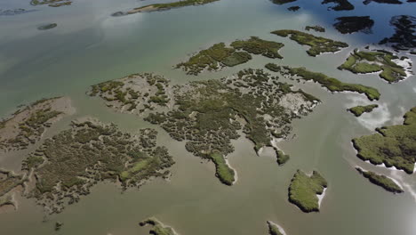 Aerial-top-down-shot-of-swampland-with-rural-islands-and-sunlight-reflection-in-water---Wetland-in-Portugal,Europe