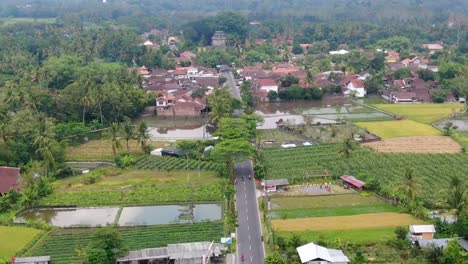 Rice-fields-with-temple-in-background-at-Mungkid-village,-Central-Java-in-Indonesia