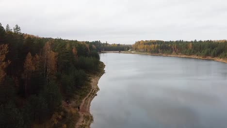 Aerial-drone-view-of-a-colourful-autumn-forest-next-to-a-calm-lake-on-an-overcast-day