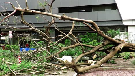 Die-Schäden,-Die-Der-Taifun-Odette-In-Diesem-Geschäftsviertel-Verursachte,-Bestanden-Größtenteils-Aus-Umgestürzten-Und-Entblößten-Bäumen-Und-Vielen-Architektonischen-Schäden-An-Gebäuden