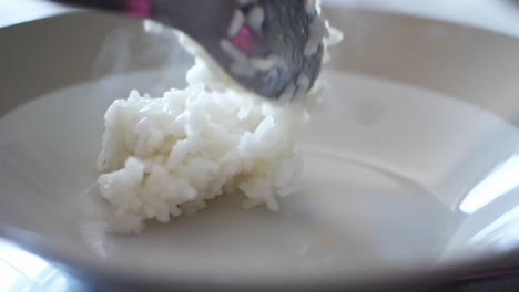 Den-Gedämpften-Weißen-Reis-Auf-Einen-Teller-Legen