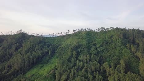 Vista-Aérea-De-Una-Colina-Verde-En-Crecimiento-Con-Silueta-De-Bosque-Y-árbol-En-La-Cima-De-La-Montaña-En-Indonesia