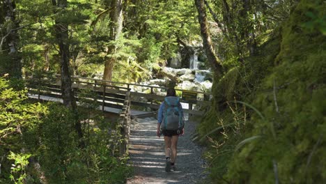 Slider,-female-hiker-approaches-bridge-over-tranquil-stream,-Routeburn-Track-New-Zealand