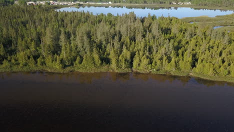 Aerial-shot-tilting-down-flying-over-a-lake-coastline-towards-a-beautiful-forest-in-northern-Ontario-Canada