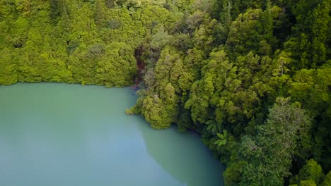Drone-flying-over-tranquil-blue-turquoise-water-of-a-lake-surrounded-by-tropical-green-jungle