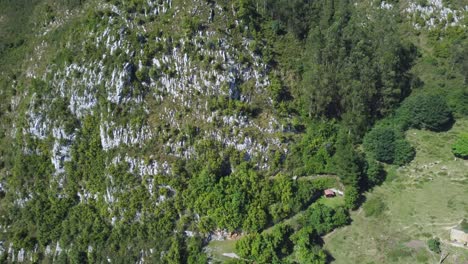 Luftaufnahme-Von-Oben-Nach-Unten,-Nahaufnahme-Von-Grünen-Bäumen-Und-Laub-Auf-Einer-Weißen,-Felsigen-Klippenlandschaft
