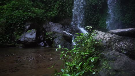 Nahaufnahme-Von-Felsen-Mit-Pflanzen-Und-Moos-Während-Des-Plätschernden-Wasserfalls-Im-Hintergrund