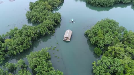 Un-Pequeño-Bote-Remolcando-Una-Cabaña-Flotante-En-Un-Bosque-De-Manglares-En-Un-Lugar-Turístico-En-Filipinas