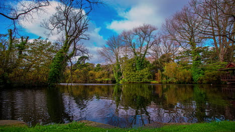 Hyper-lapse-of-park-lagoon-with-ducks-inside-surrounded-by-autumn-forest