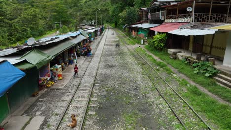Die-Eisenbahnstrecke-Von-Machu-Picchu-An-Der-Hot-Waters-Station,-Die-Den-Dschungel-Und-Den-Fluss-Urubamba-überquert